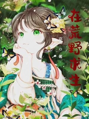 《在荒野求生》小说封面
