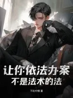 《让你依法办案，不是法术的法》小说封面