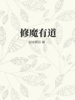 《修魔有道》小说封面