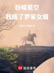 《吞噬星空：我成了罗家女婿》小说封面