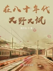 《在八十年代又野又飒》小说封面