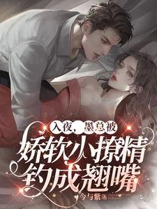 《入夜，墨总被娇软小撩精钓成翘嘴》小说封面