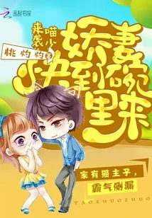 《喵少来袭：娇妻快到碗里来》小说封面