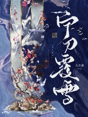《宁刀覆雪》小说封面