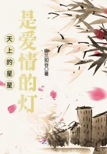 《天上的星星是爱情的灯》小说封面
