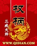 《权柄》小说封面