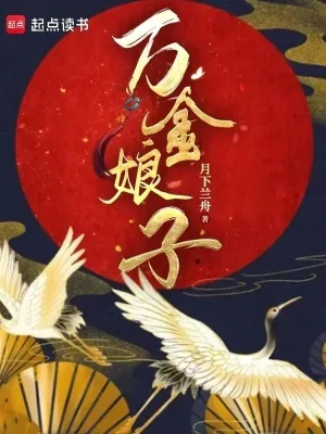 《万金娘子》小说封面