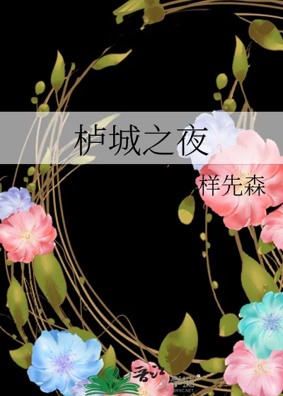 《栌城之夜》小说封面
