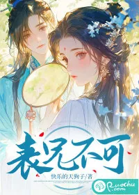 《表兄不可》小说封面