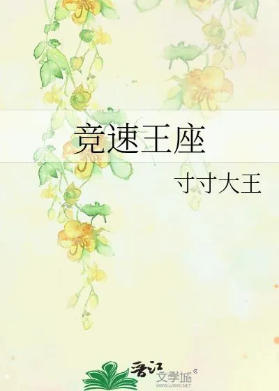 《竞速王座》小说封面