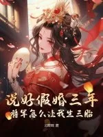《说好假婚三年!将军怎么让我生三胎?》小说封面