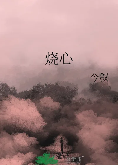 《烧心》小说封面