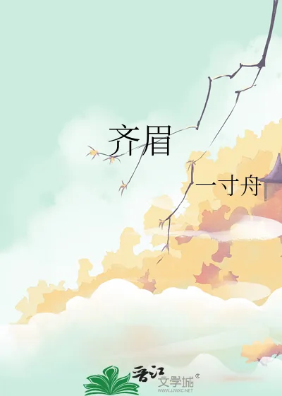《齐眉》小说封面