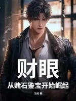 《财眼：从赌石鉴宝开始崛起》小说封面