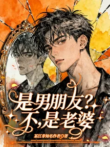 《是男朋友？不，是老婆》小说封面