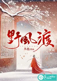 《野风渡》小说封面