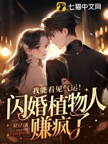 《我能看见气运！闪婚植物人赚疯了》小说封面