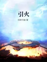 《引火》小说封面