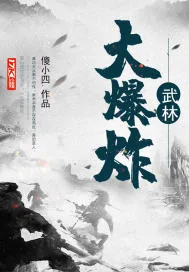 《武林大爆炸》小说封面