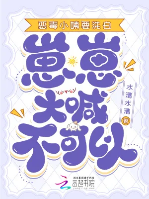 《恶毒小姨要洗白，崽崽大喊不可以》小说封面