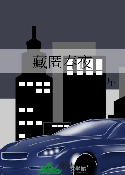 《藏匿春夜》小说封面