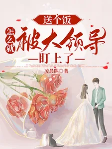 《送个饭，怎么就被大领导盯上了》小说封面