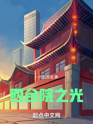 《四合院之光》小说封面