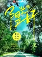 《阳光正好》小说封面