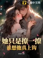 《她只是撩一撩，谁想他真上钩》小说封面