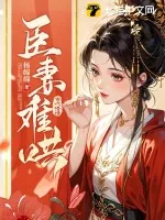 《臣妻难哄》小说封面