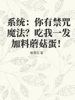 《魔法世界的机械异端》小说封面