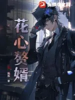 《花心赘婿》小说封面