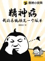 《精神病：我的系统领先一个版本》小说封面