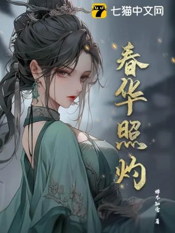 《春华照灼》小说封面