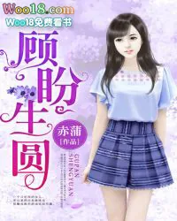 《顾盼生圆》小说封面