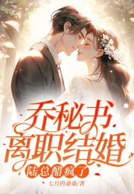 《乔秘书离职结婚，陆总醋疯了》小说封面