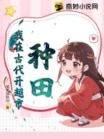 《种田，我在古代开超市》小说封面