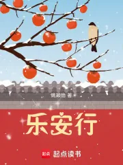 《乐安行》小说封面
