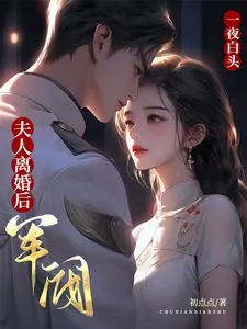 《夫人离婚后，军阀大佬一夜白头》小说封面
