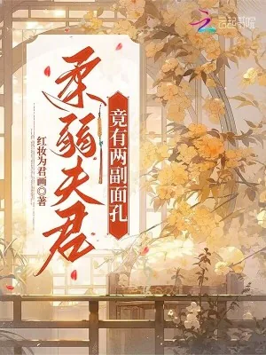 《柔弱夫君竟有两副面孔》小说封面