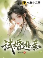 《试婚逃妾》小说封面