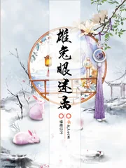 《雄兔眼迷离》小说封面