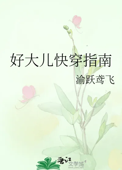 《好大儿快穿指南》小说封面