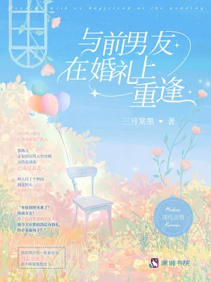 《与前男友在婚礼上重逢》小说封面