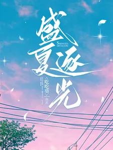 《盛夏逐光》小说封面