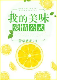 《我的美味爱情公式》小说封面