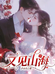 《又见山海》小说封面