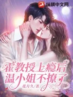 《霍教授上瘾后，温小姐不撩了》小说封面