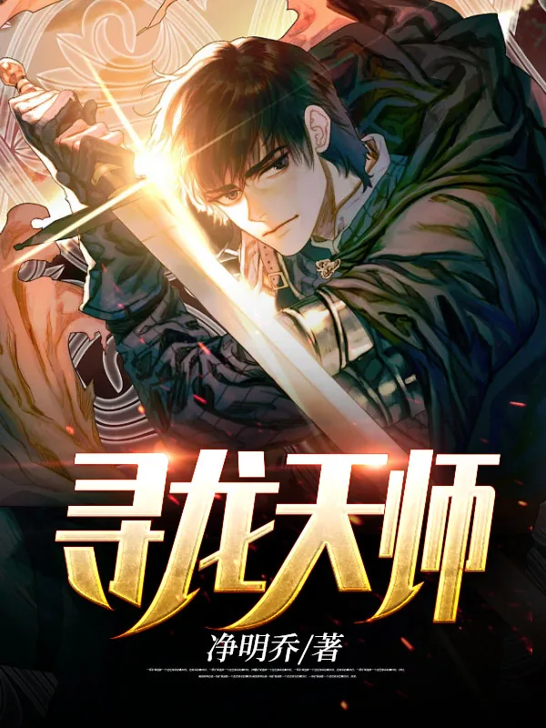 《皮剑青朱栩诺》小说封面