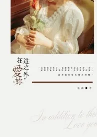 《在这之外爱你。》小说封面